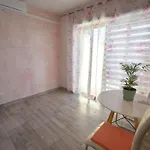 Apartman Denjak *